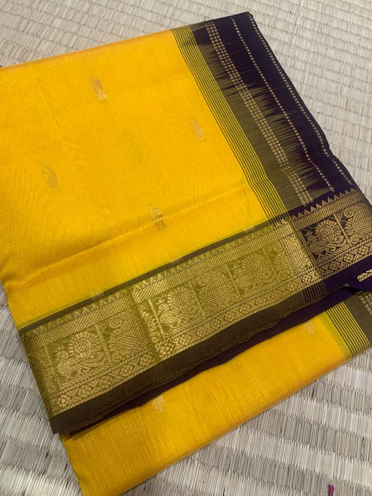 Handloom silk cotton Saree korvai border and without korvai lemon yellow with coffee 