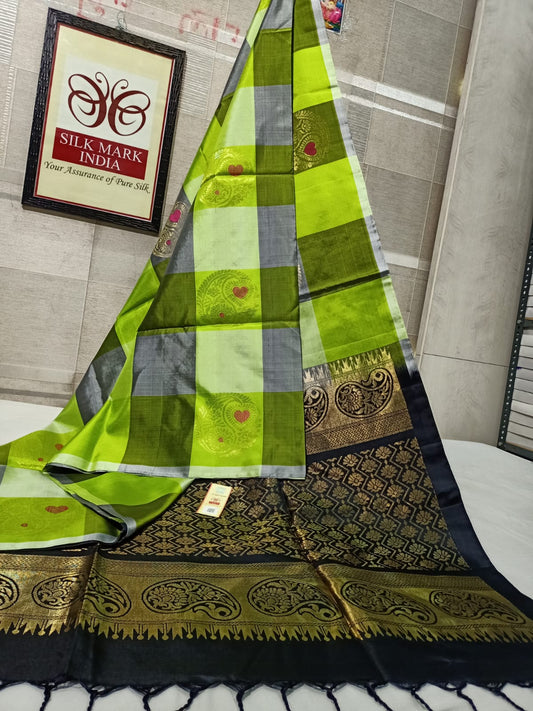 kanjivaram silk saree with double warp in borderless multiple colors palum palzamum kattam in green 